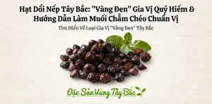 Hạt Dổi Nếp Là Gì?