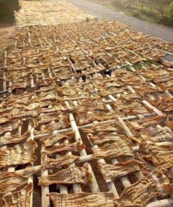 Măng Nứa Khô Điện Biên Cao Cấp 206039353 2579039642242820 5369421662837973782 n