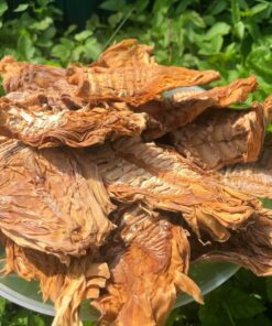 Măng Nứa Khô Điện Biên Cao Cấp 5064af17cdf739a960e6