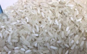 Chụp cận cảnh gạo séng cù