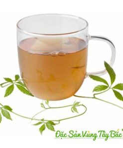 Mua Giảo Cổ Lam Khô che giao co lam