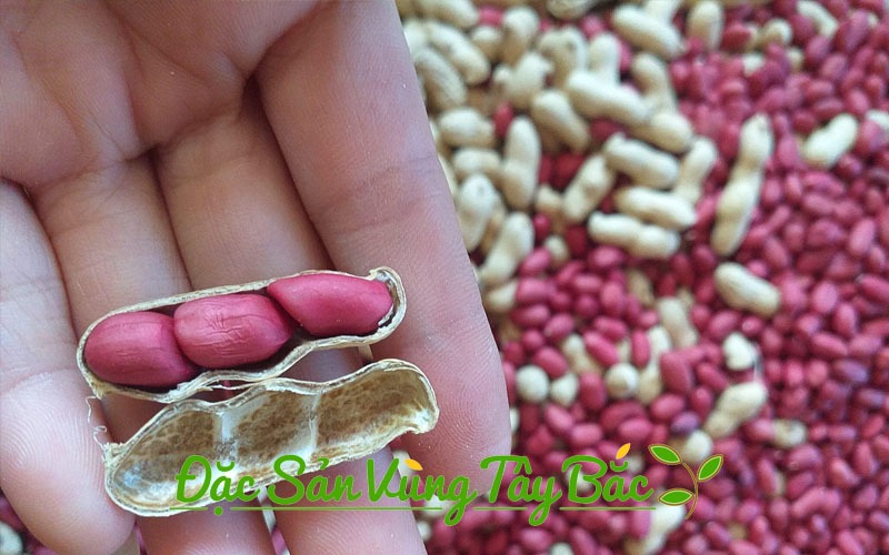 Mua Lạc Đỏ Nương Bóc Tay chup chi tiet lac nuong dien bien