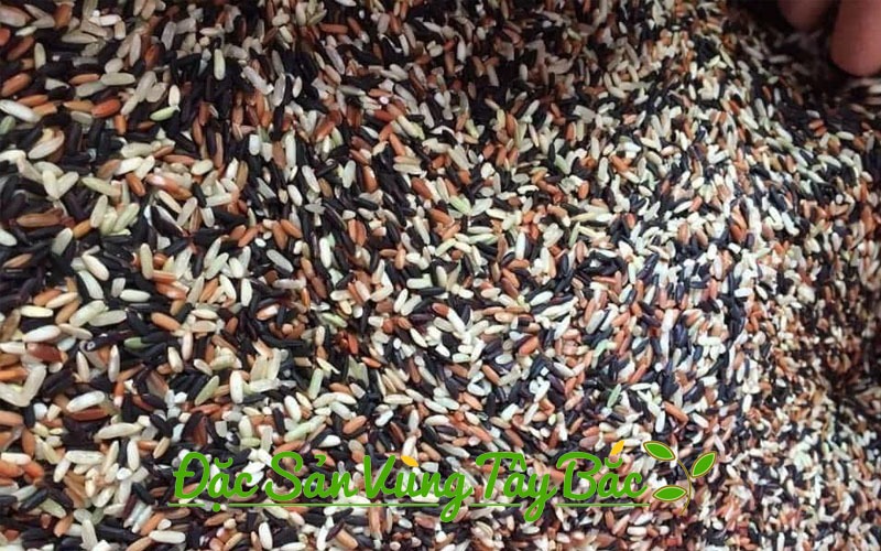 Gạo Lứt Tam Sắc Tất Tần Tật Về Loại Gạo Sạch Này