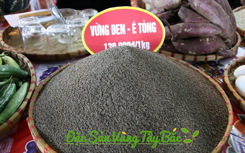 vung den tay bac phoi kho