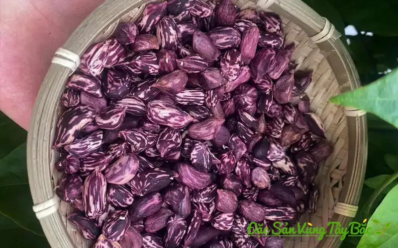 Lạc Hoa Mèo (Lạc Vằn Pa Dí) Tây Bắc