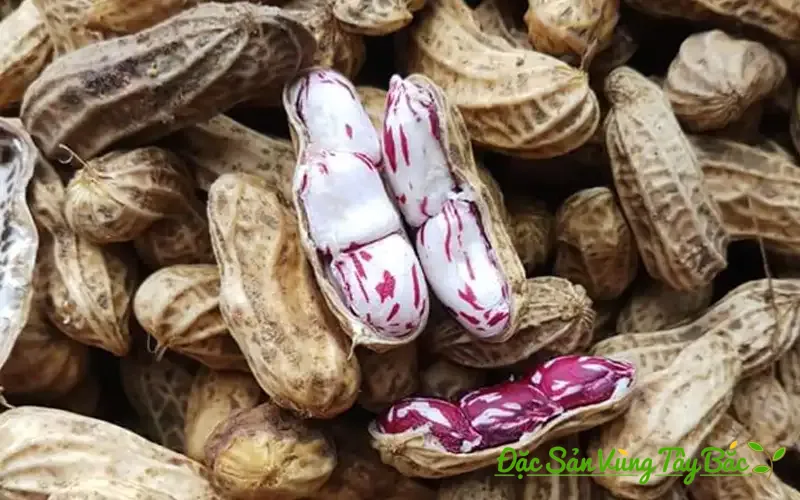 Lạc Hoa Mèo (Lạc Vằn Pa Dí) Tây Bắc