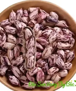 Lạc Hoa Mèo (Lạc Vằn Pa Dí) Tây Bắc