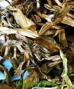 Cây trinh nữ hoàng cung khô