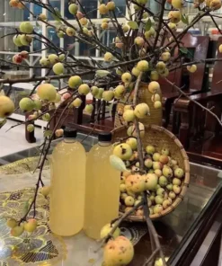 Giấm táo mèo nguyên chất