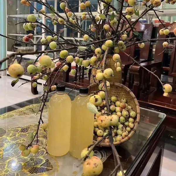 Giấm táo mèo nguyên chất