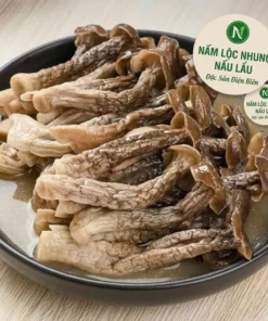 dacsanvungtaybac org 14