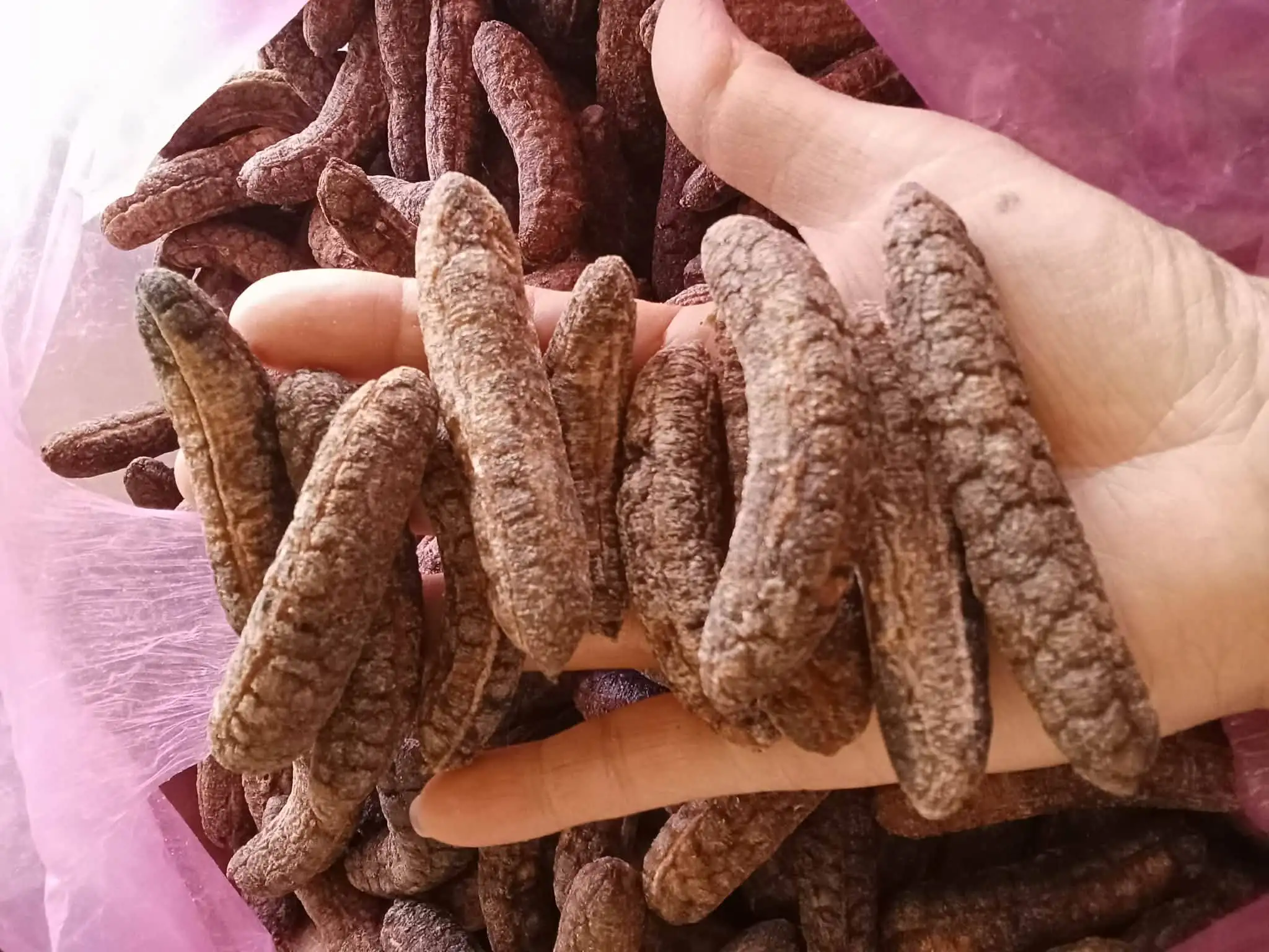 3 Cách Ngâm Rượu Chuối Hột Rừng Chuẩn Vị Tây Bắc – Bổ Thận, Giảm Đau Lưng