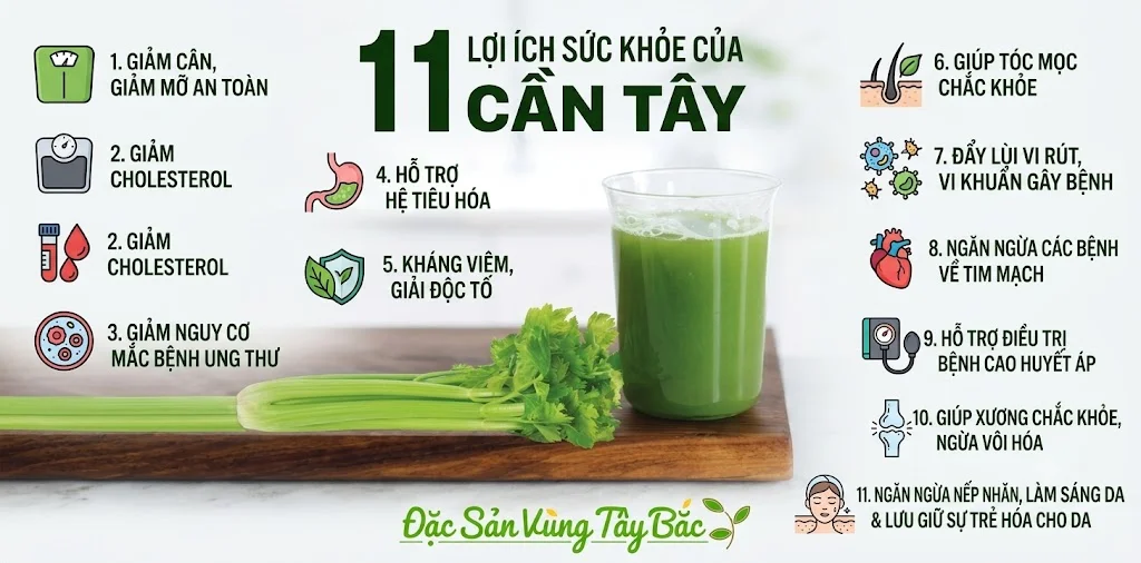 Bột Cần Tây Sấy Lạnh Nguyên Chất Các công dụng hữu ích của cần tây với sức khỏe