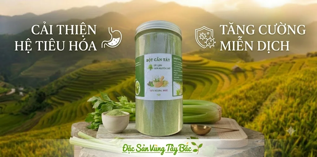 Bột Cần Tây Sấy Lạnh Nguyên Chất Bột cần tây Cải thiện hệ tiêu hóa và tăng cường miễn dịch