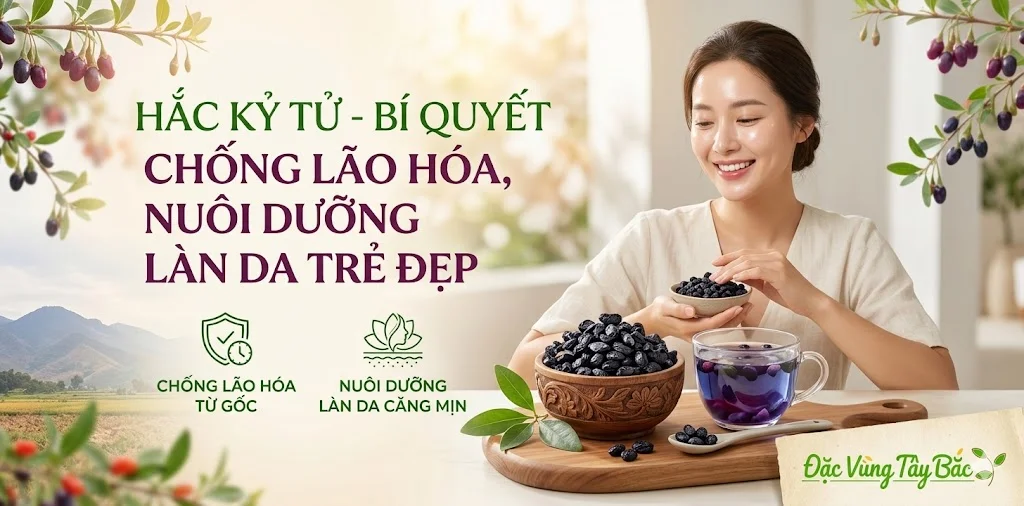 Hắc Kỷ Tử giúp chống lão hóa, nuôi dưỡng làn da trẻ đẹp