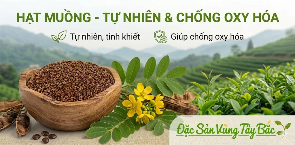 Hạt muồng giúp chống oxy hóa