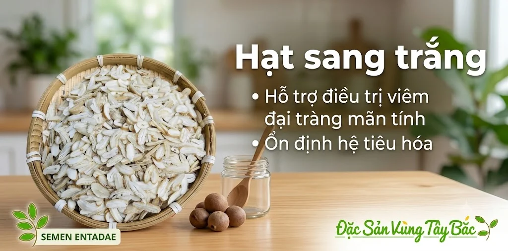Hạt sang trắng hỗ trợ điều trị viêm đại tràng mãn tính, ổn định hệ tiêu hóa