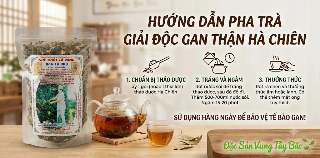 Trà giải độc gan thận Hà Chiên Hướng dẫn sử dụng Trà Hà Chiên hiệu quả nhất