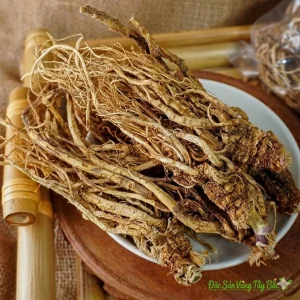 Sâm Đương Quy Khô