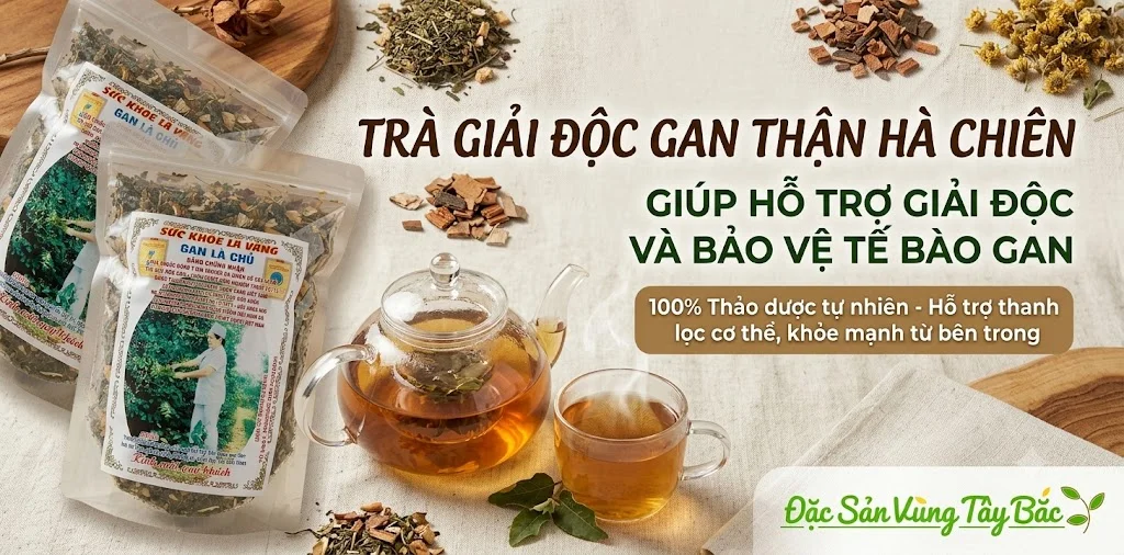 Trà giải độc gan thận Hà Chiên Trà giải độc gan thận Hà Chiên giúp hỗ trợ giải độc và bảo vệ tế bào gan