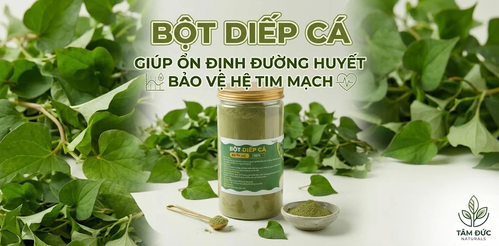 Bột diếp cá giúp ổn định đường huyết và bảo vệ hệ tim mạch