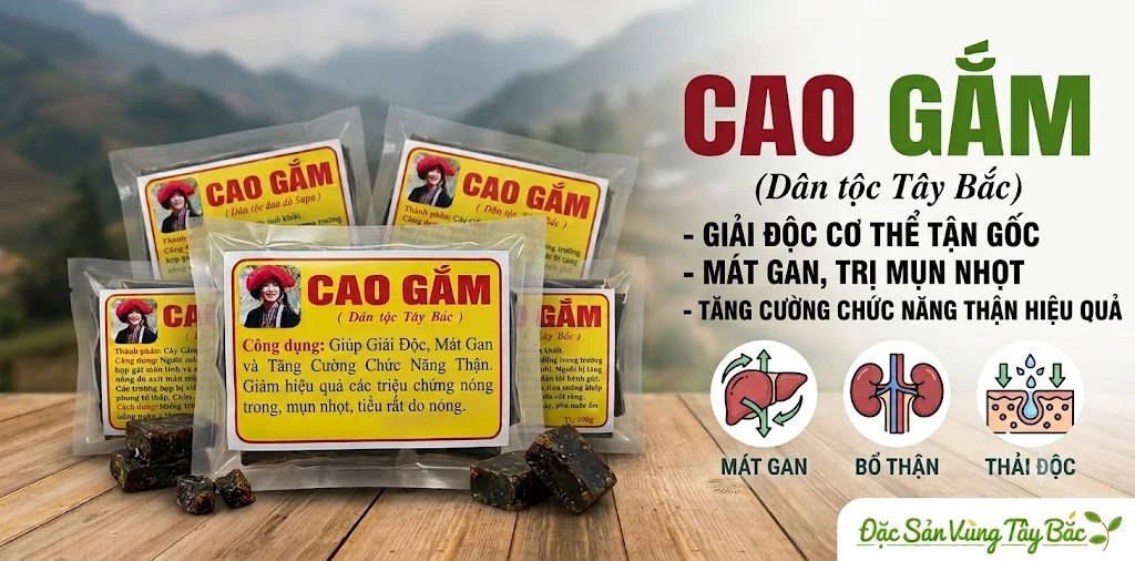 Cao gắm giúp giải độc, mát gan và tăng cường chức năng thận