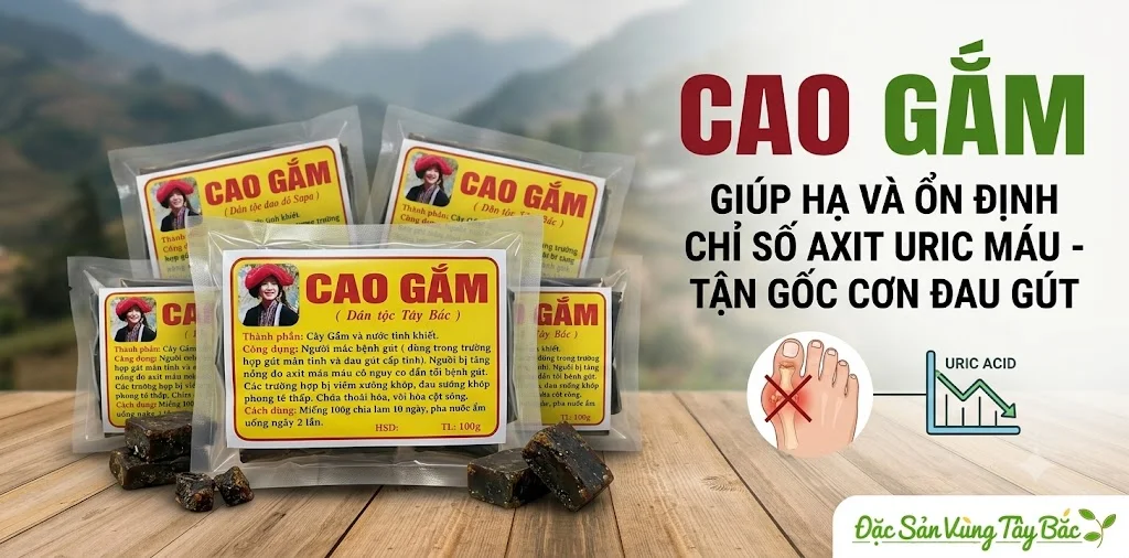 Cao gắm giúp hạ và ổn định chỉ số Axit Uric máu – Tận gốc cơn đau gút