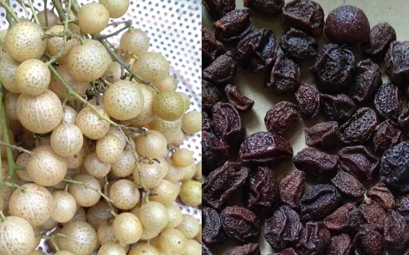 chi tiet qua mac mat