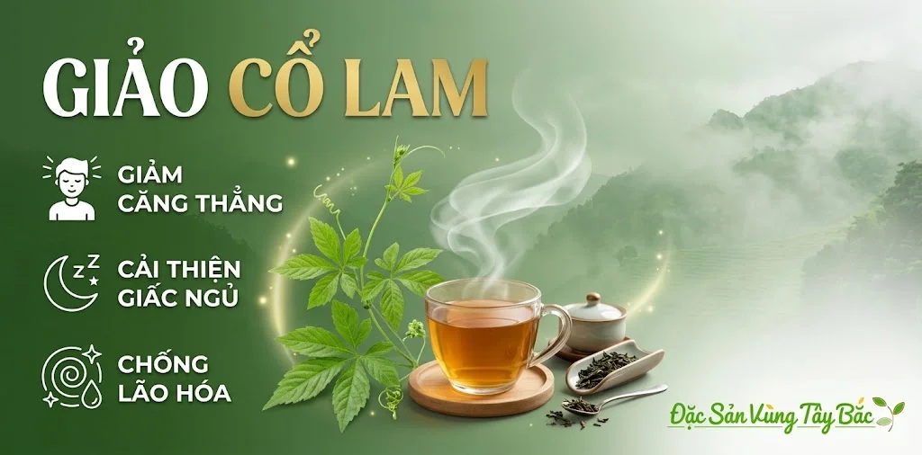 Giảo Cổ Lam Giảo cổ lam giúp Giảm căng thẳng, cải thiện giấc ngủ và chống lão hóa