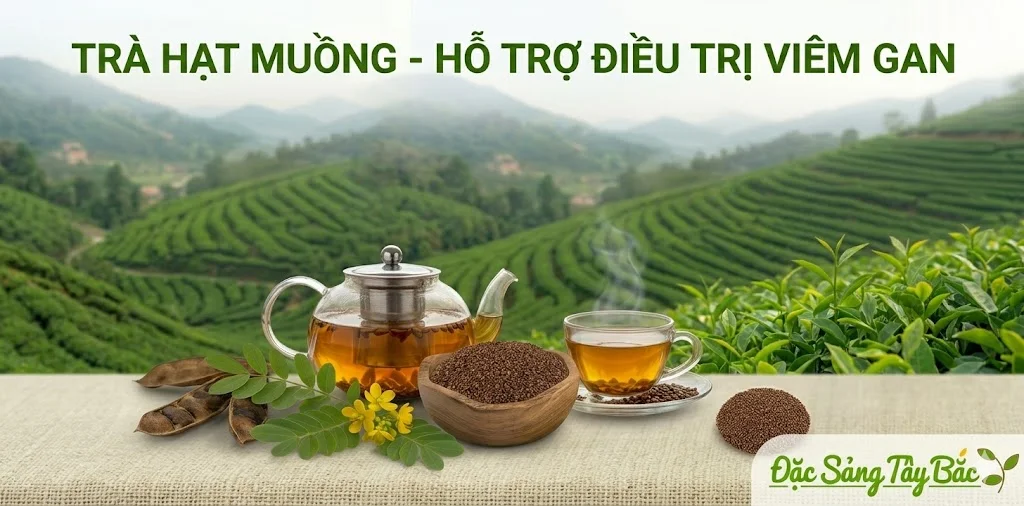 Hạt muồng hỗ trợ điều trị viêm gan