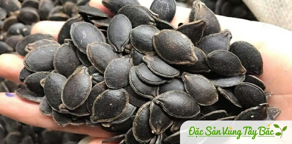 Hạt Bí Mèo Đen Rang Củi Hình ảnh hạt bí mèo đen