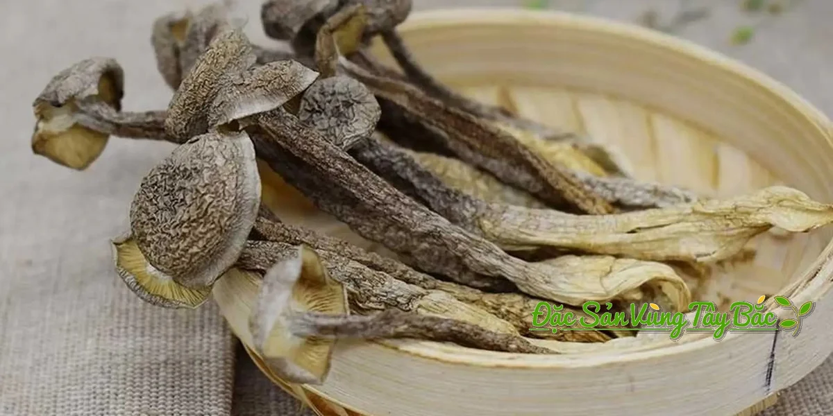 Hình ảnh nấm lộc nhung khô