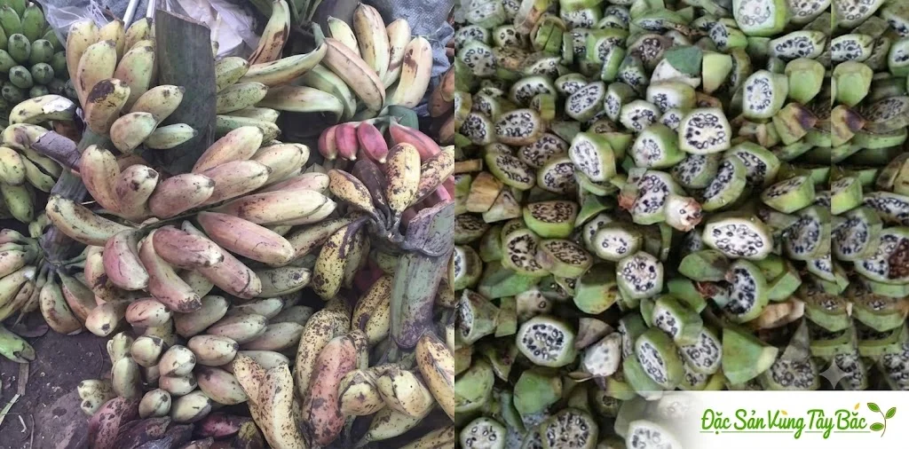 Hình ảnh quả chuối hột rừng Tây Bắc