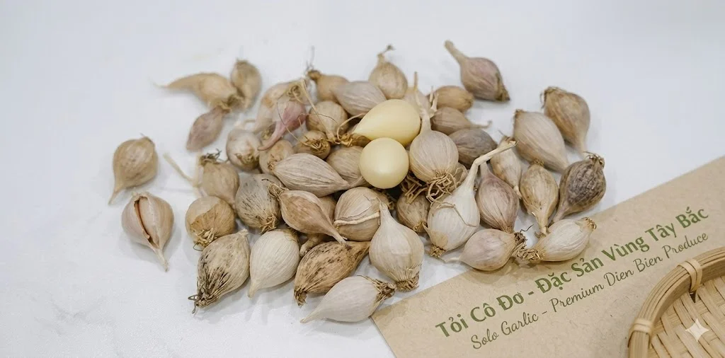 Tỏi Cô Đơn Tây Bắc Tỏi cô đơn Sơn La