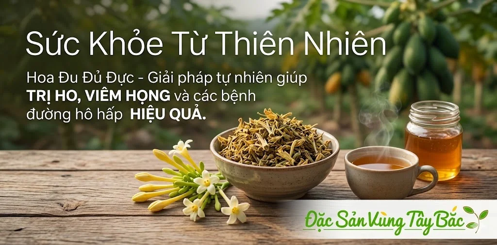Hoa Đu Đủ Đực Phơi Khô Hoa đu đủ đực giúp Trị ho, viêm họng và các bệnh đường hô hấp hiệu quả