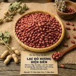 Lạc Đỏ Nương Điện Biên