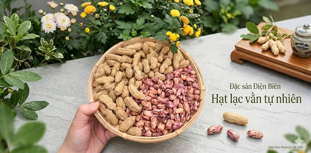 Lạc hoa mèo Điện Biên vụ mới hạt to, mẩy thơm ngon