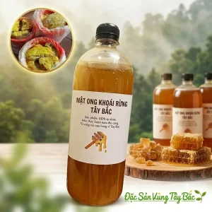 Mật Ong Khoái Rừng
