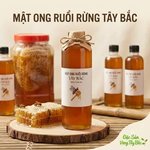 Mật Ong Ruồi