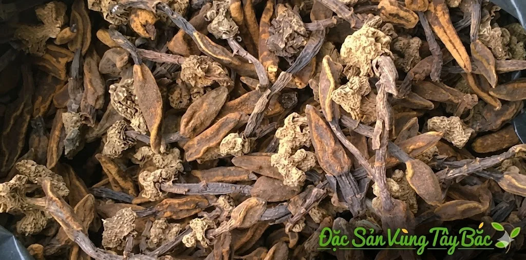 Nấm ngọc cẩu đã được phơi khô kỹ lưỡng