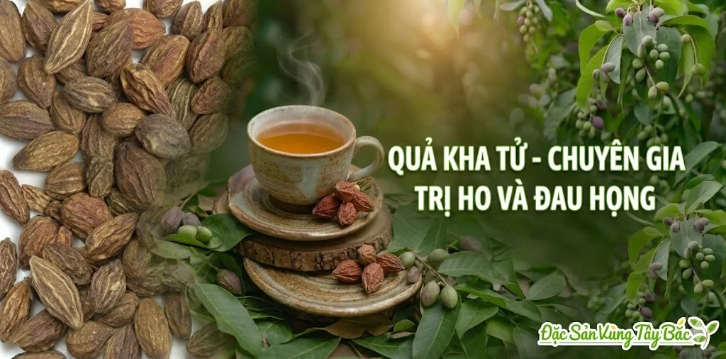 Quả kha tử Chuyên gia trị ho và đau họng