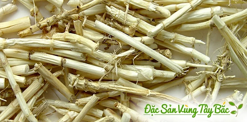 Rễ cỏ tranh phơi khô