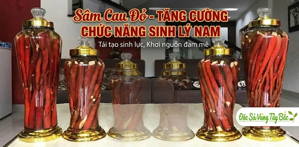 Rượu ngâm sâm cau đỏ giúp tăng cường chức năng sinh lý nam