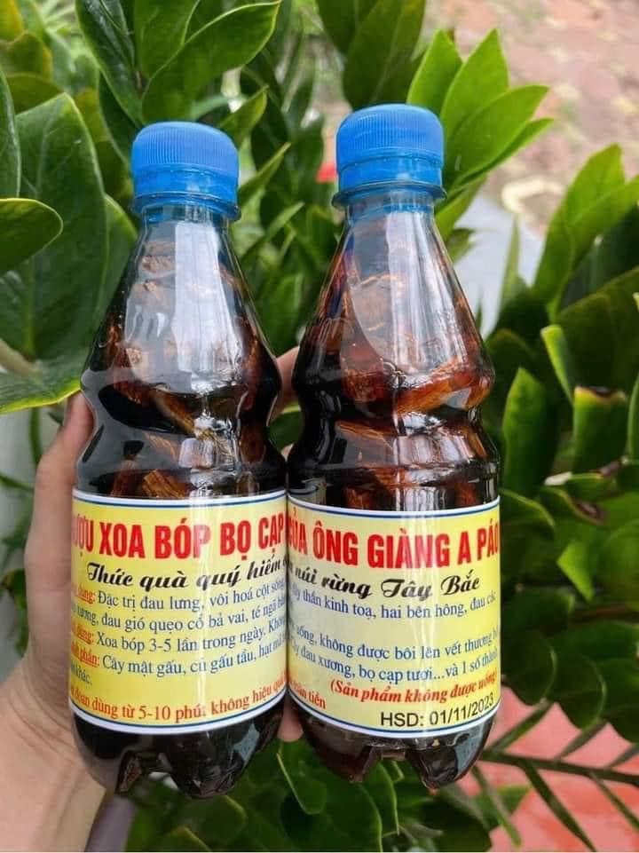Hình ảnh rượu xoa bóp bọ cạp ông giàng a páo