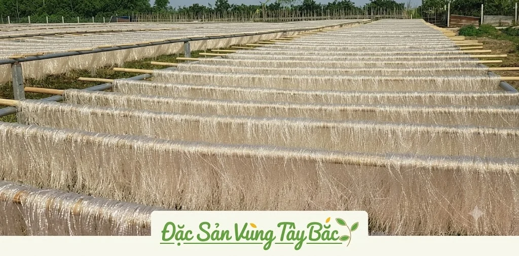 Sản xuất miến khoai lang