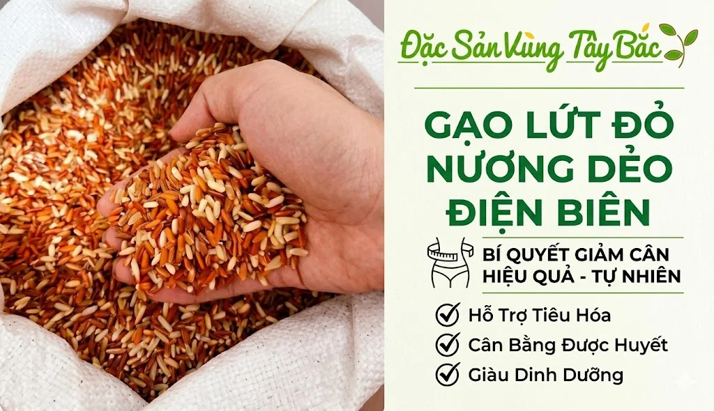 Công dụng của gạo lứt đỏ dẻo