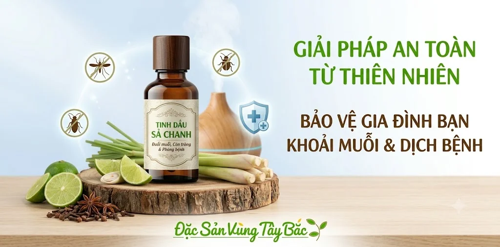 Tinh dầu sả chanhh giúp đuổi muỗi, côn trùng và phòng chống dịch bệnh
