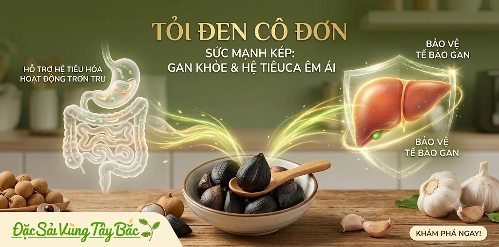 Tỏi đen cô đơn bảo vệ tế bào gan và hỗ trợ hệ tiêu hóa hoạt động trơn tru