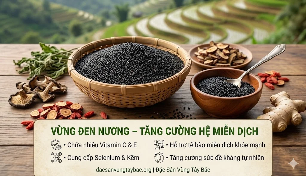 Vừng Đen Nương Tây Bắc Vừng đen giúp tăng cường hệ miễn dịch
