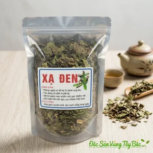 Cây Xạ Đen Khô